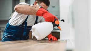 Real Estate Pest Inspections in Mescal, AZ